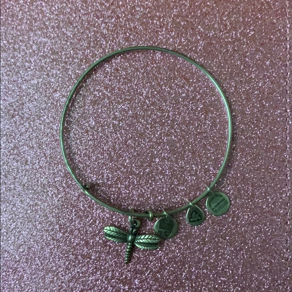 Alex and Ani dragon fly bracelet